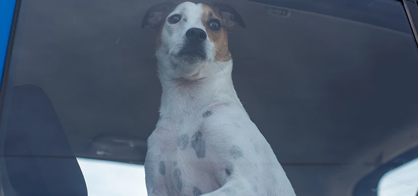 Car Lockout Solutions in Selma, California